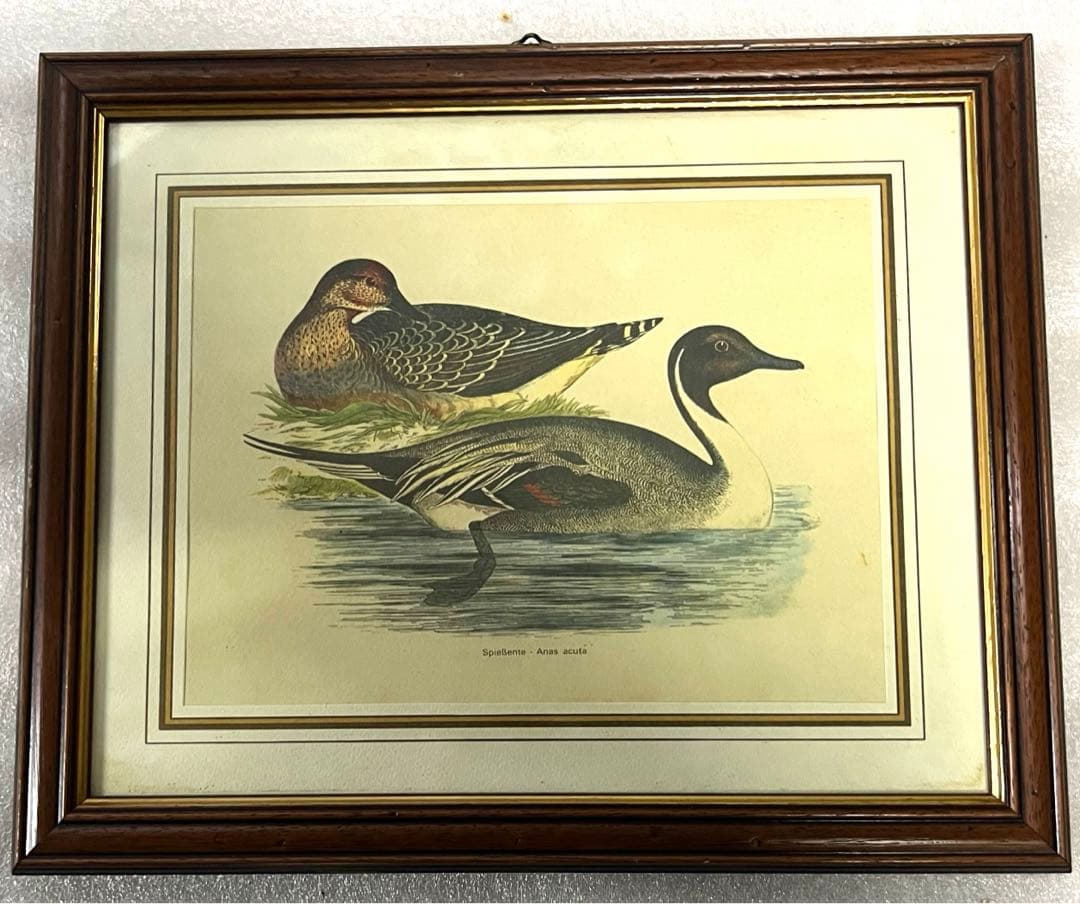 カモ画 アンティーク 調額縁 イタリア 輸入 額絵 天然木 フレーム インテリア