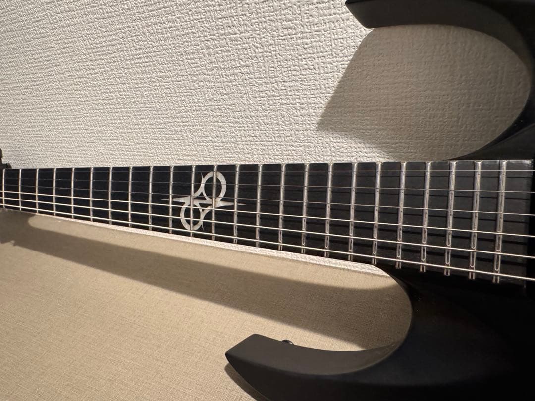 Solar Guitars A1.6 BOP EVERTUNE スルーネック