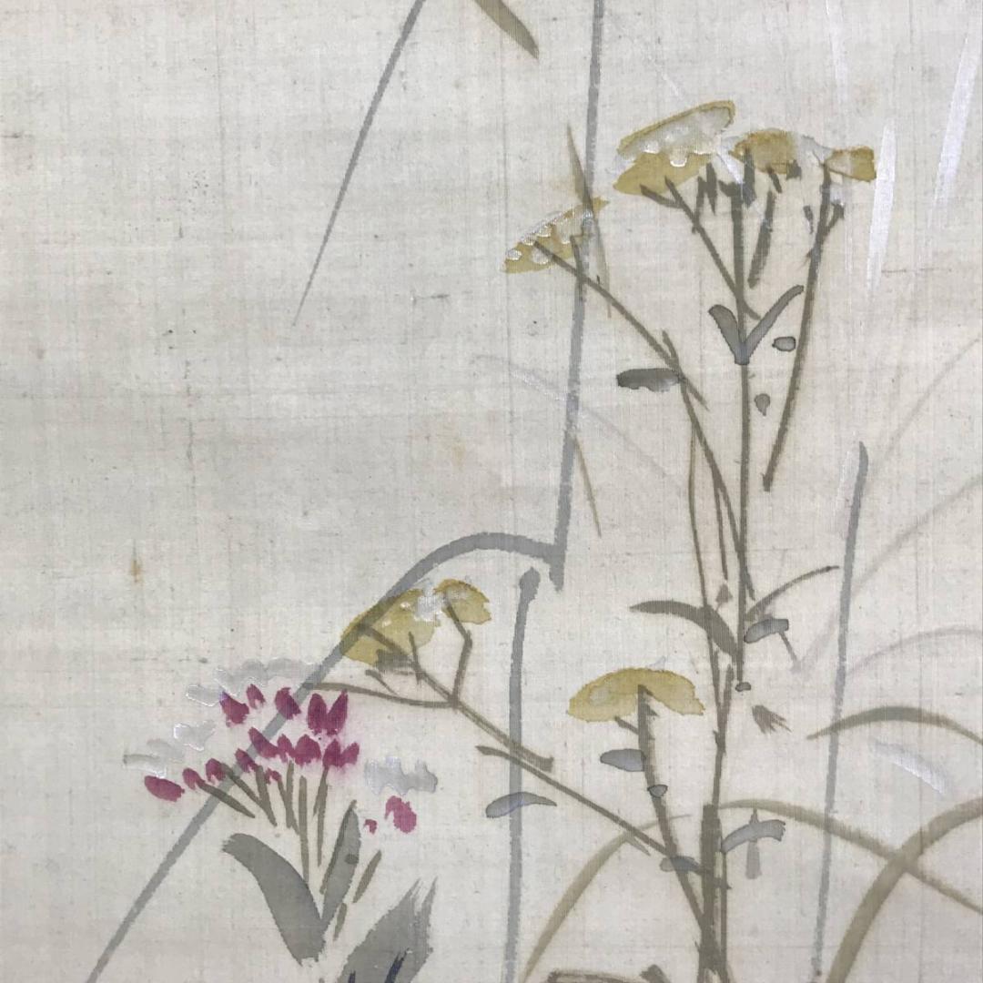 谷文晁/秋草花図/草花図/花鳥図/掛軸/名家伝来/AE-126