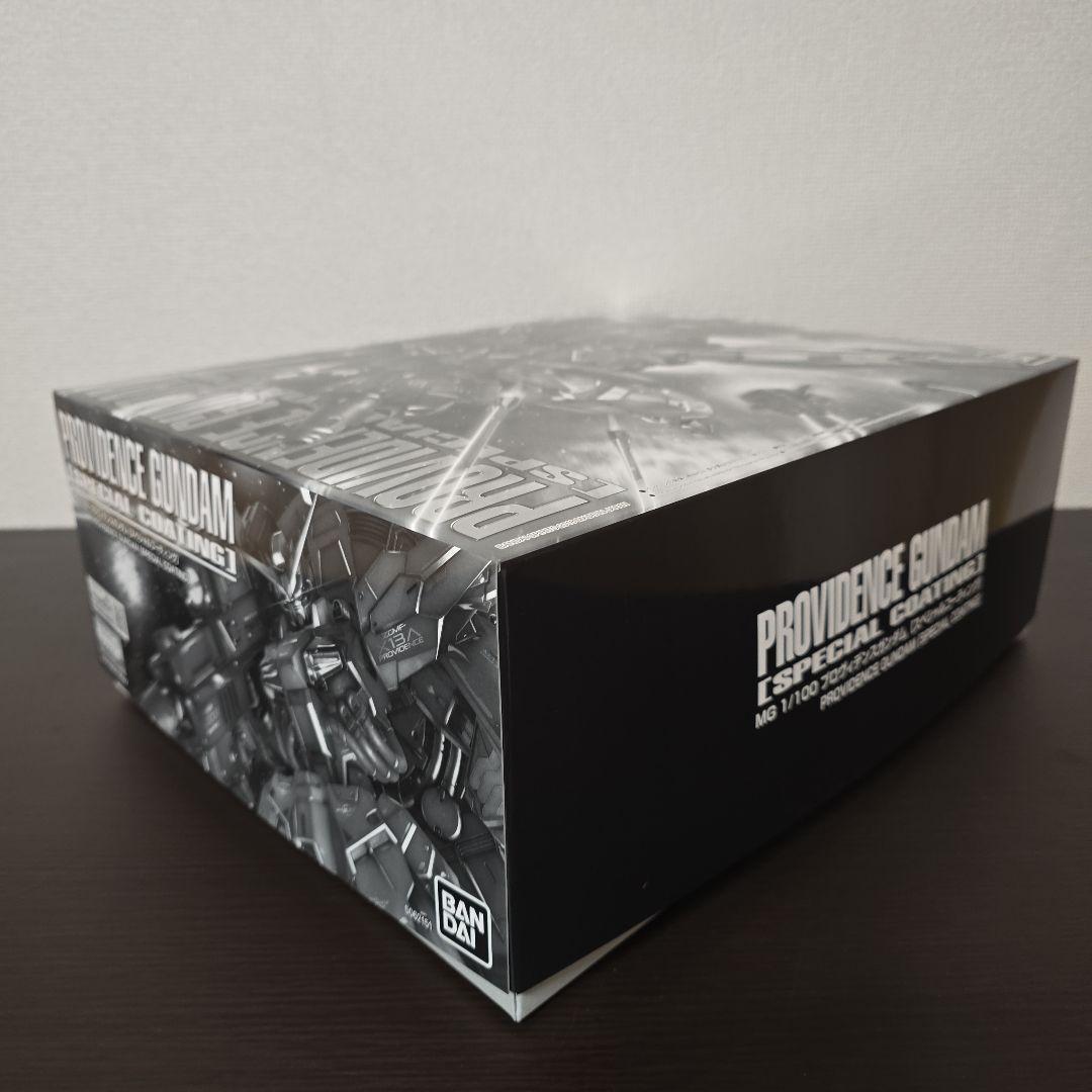 た*す様 ＭＧ 1/100 プロヴィデンスガンダム [スペシャルコーティング]