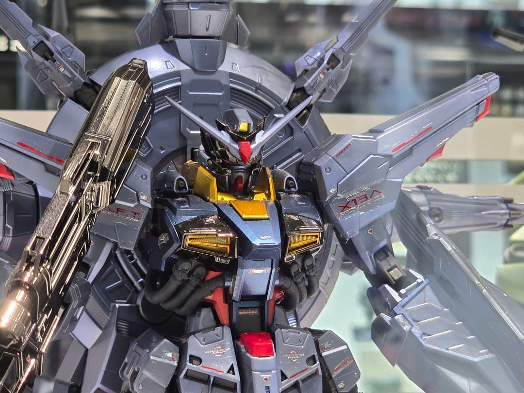 た*す様 ＭＧ 1/100 プロヴィデンスガンダム [スペシャルコーティング]