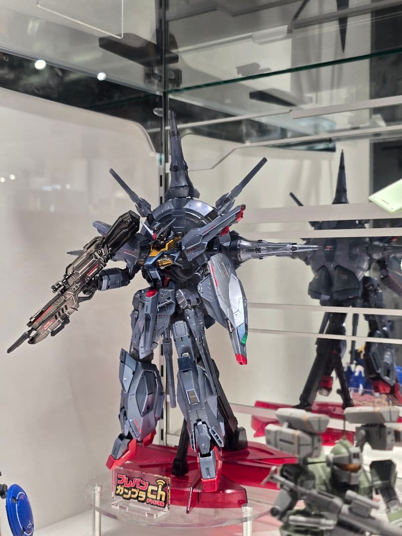 た*す様 ＭＧ 1/100 プロヴィデンスガンダム [スペシャルコーティング]