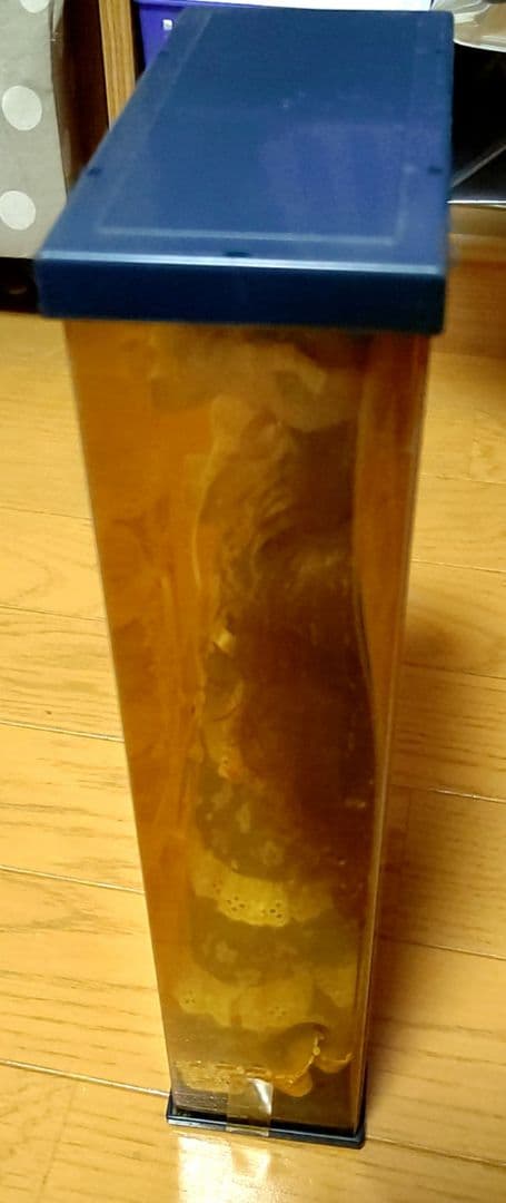 プレミアムエクセリーナジェニー未開封1996年