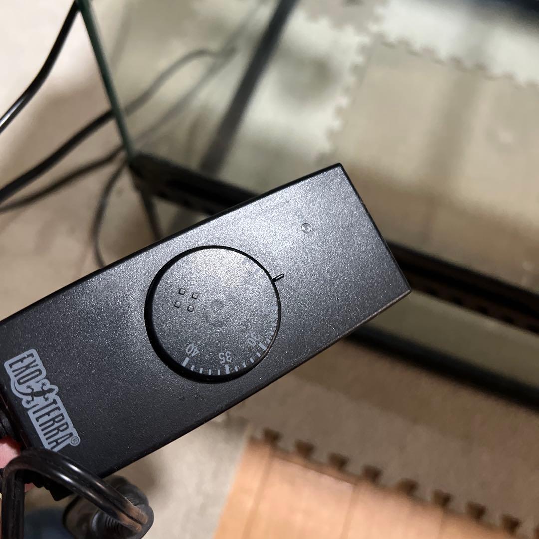 。専用 エキゾテラGEX EXOTERRA グラステラリウム6045