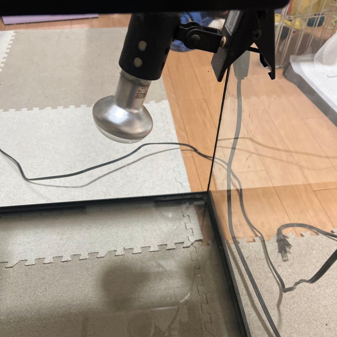 。専用 エキゾテラGEX EXOTERRA グラステラリウム6045