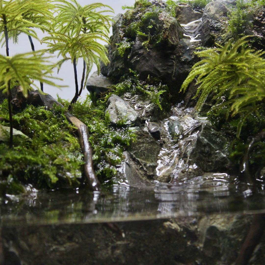 初めてのアクアテラリウム　No.8　パルダリウム　イモリウム　20cm水槽