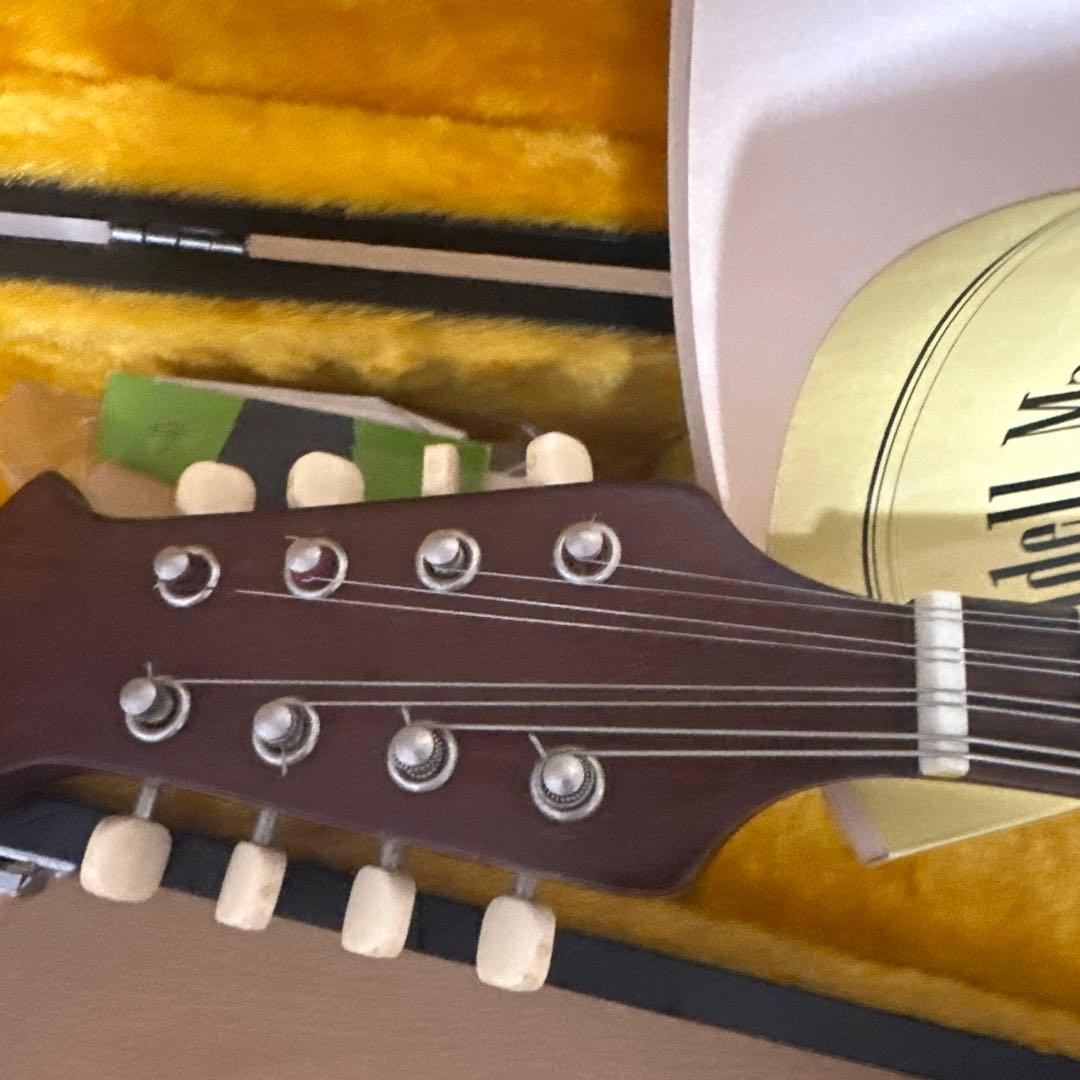 【ハードケース付き】スズキ SUZUKI マンドリM-215