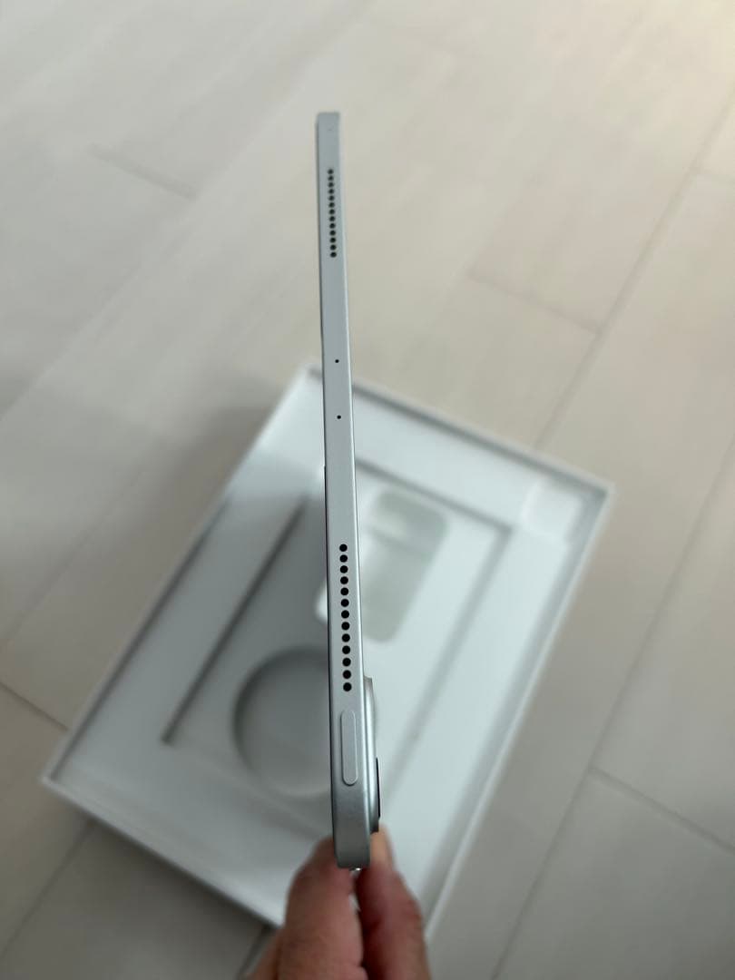 Apple iPad pro 11インチ シルバー 本体　256GB
