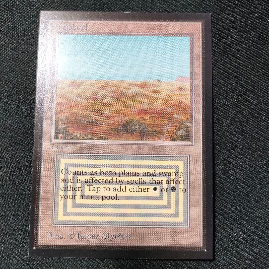 MTG 金枠 Scrubland CE Collector's Edition