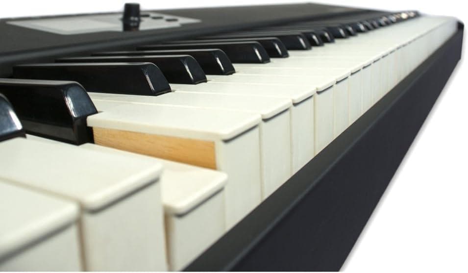 Studiologic SL88 Grand ピアノ MIDI キーボード 電子