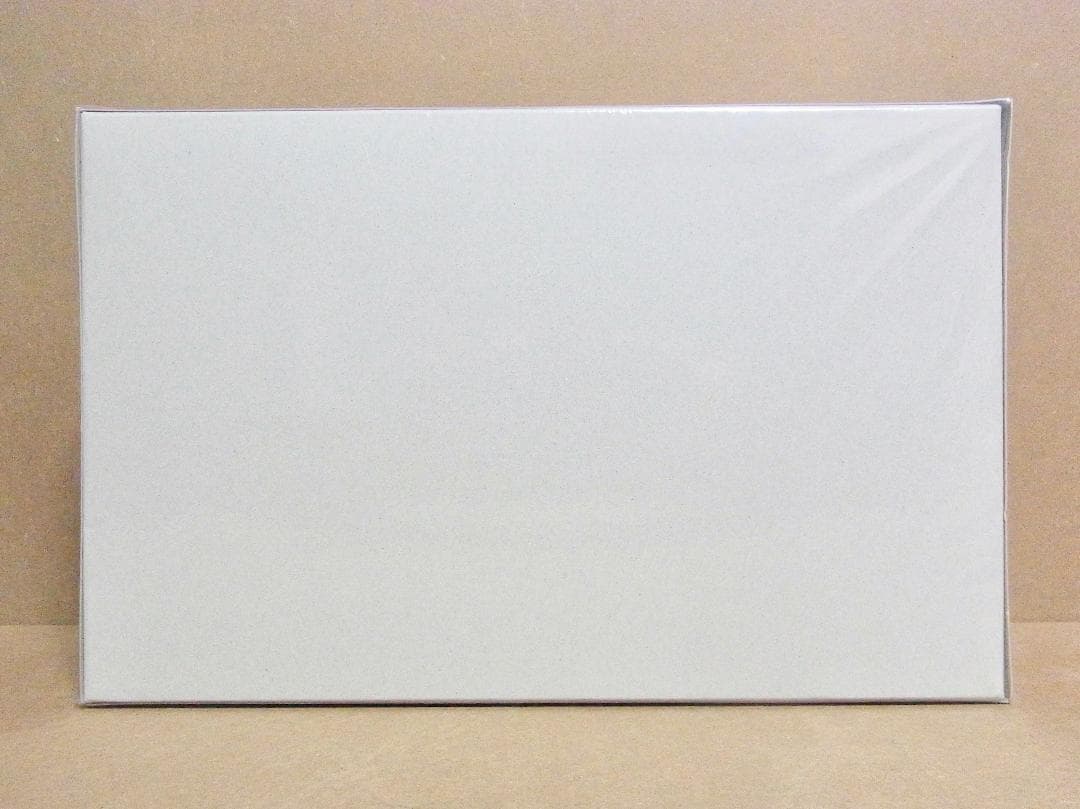 PG ガンダム アストレイ レッドフレーム 早期予約 購入特典 非売品 未組立品