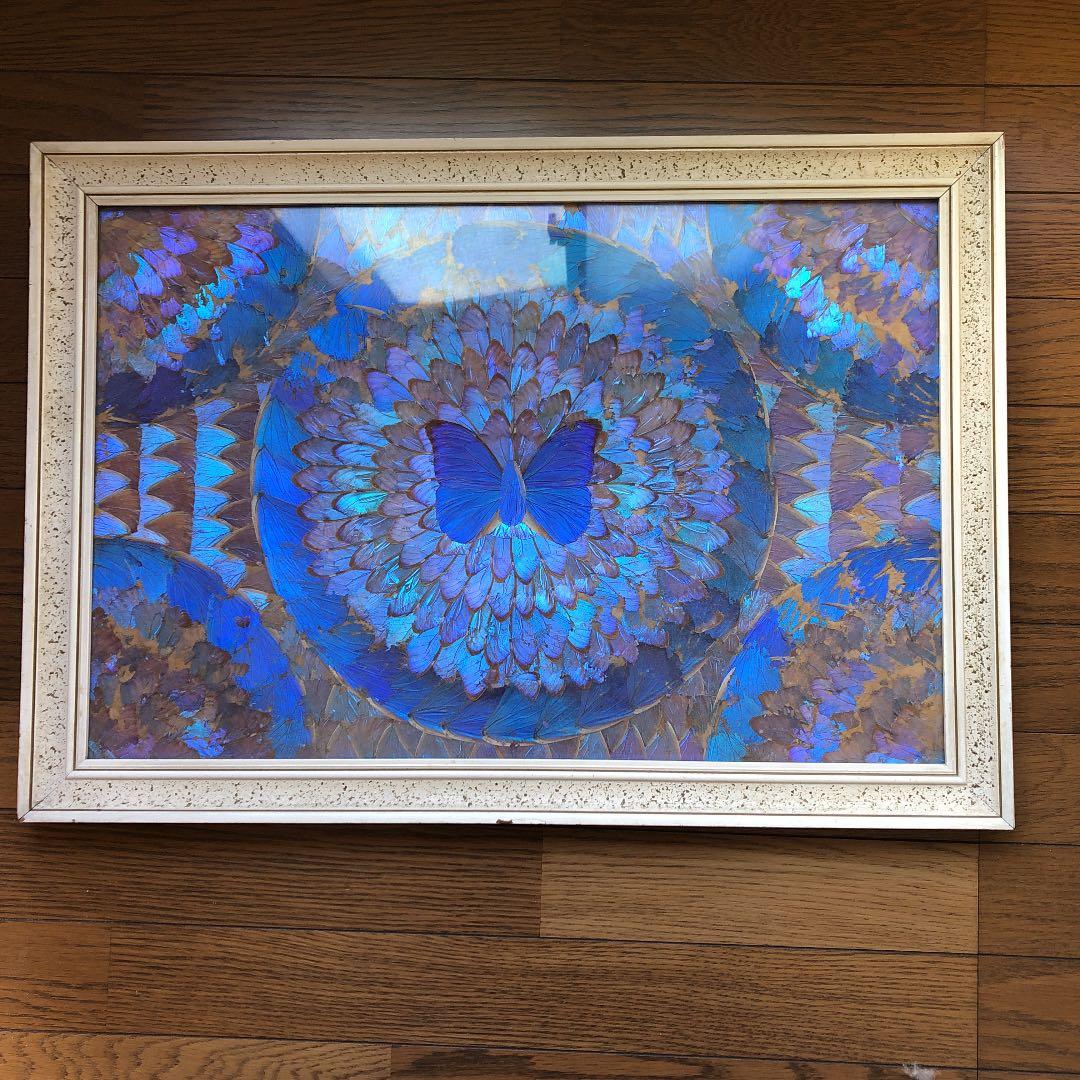 レトロ　ブラジル　青いちょうちょ　額縁　レア