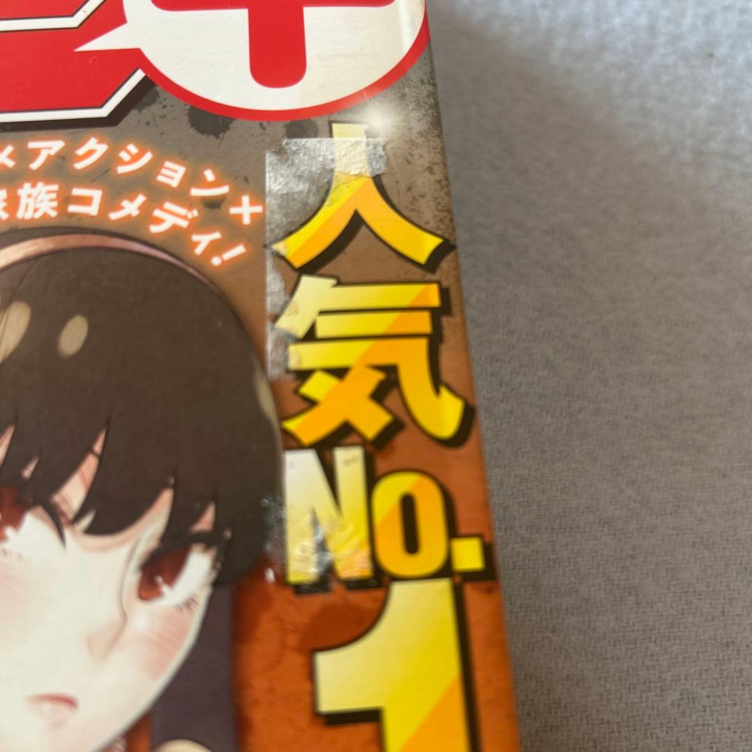 スパイファミリー　赤　ジャンプフェスタ　2019