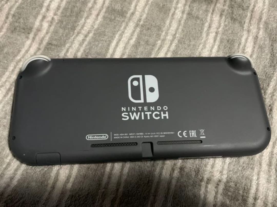 その他 Nintendo Switch NINTENDO SWITCH LITE