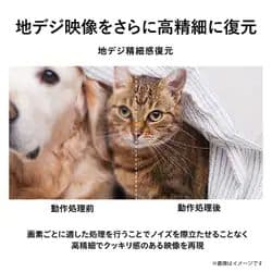 液晶テレビ 全国配送料無料 2022年 32V34 東芝 REGZA 32型