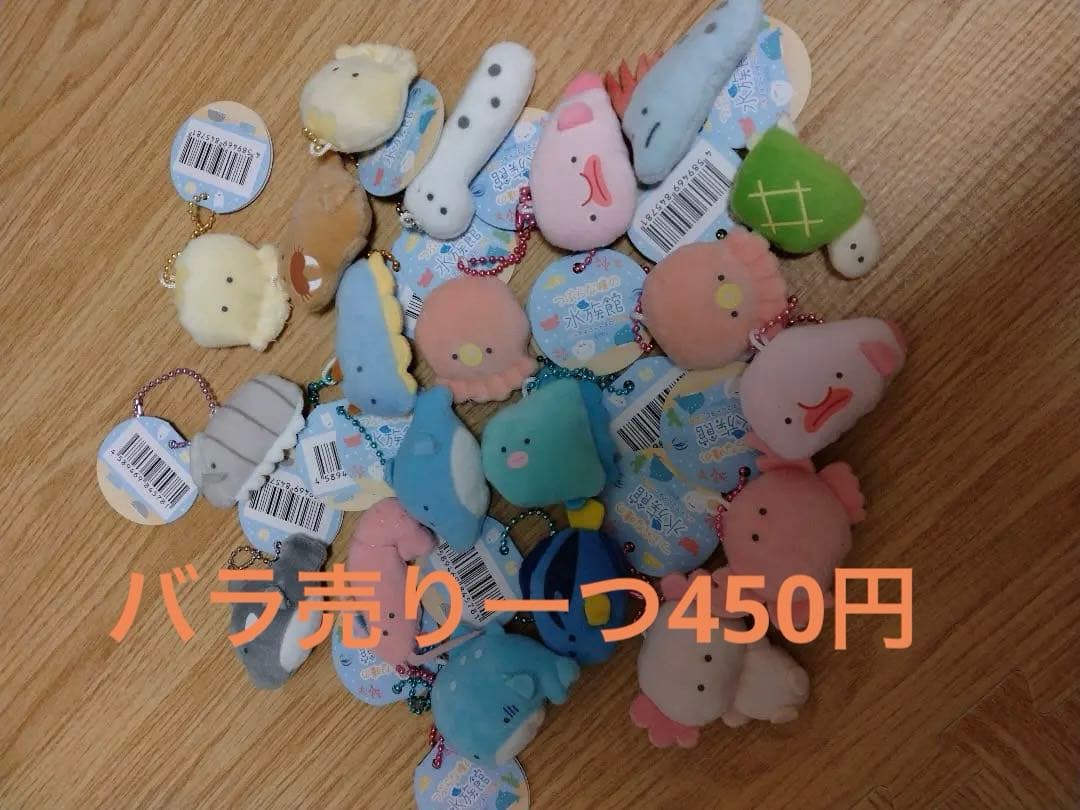 つぶらな瞳の水族館　バラ売り