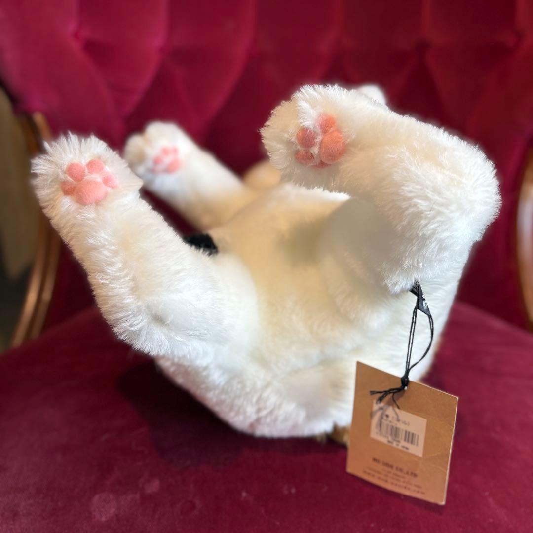 Cuddly 小春 Koharu ぬいぐるみ　①