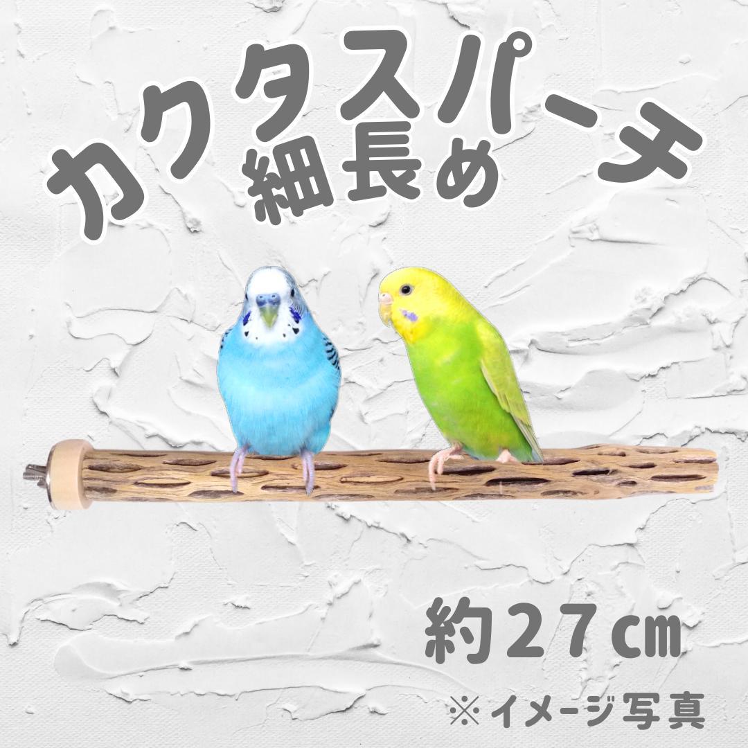 鳥用品　止まり木　カクタス　スケルトン　パーチ　太めNo.239