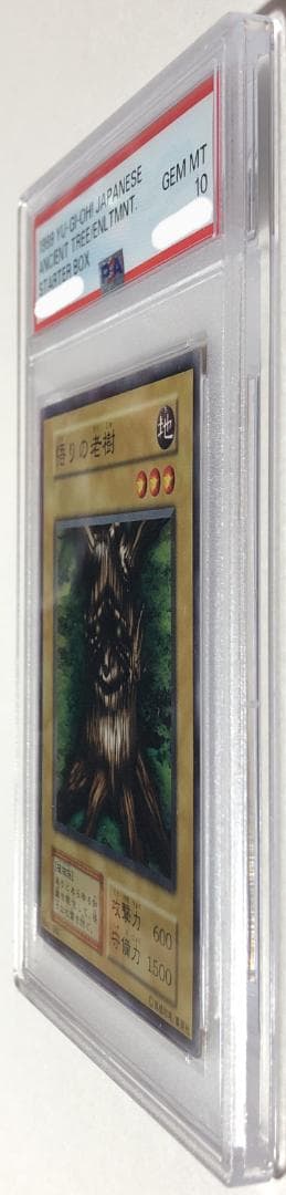 遊戯王 悟りの老樹 PSA10 初期 STARTER BOX【1999年物】