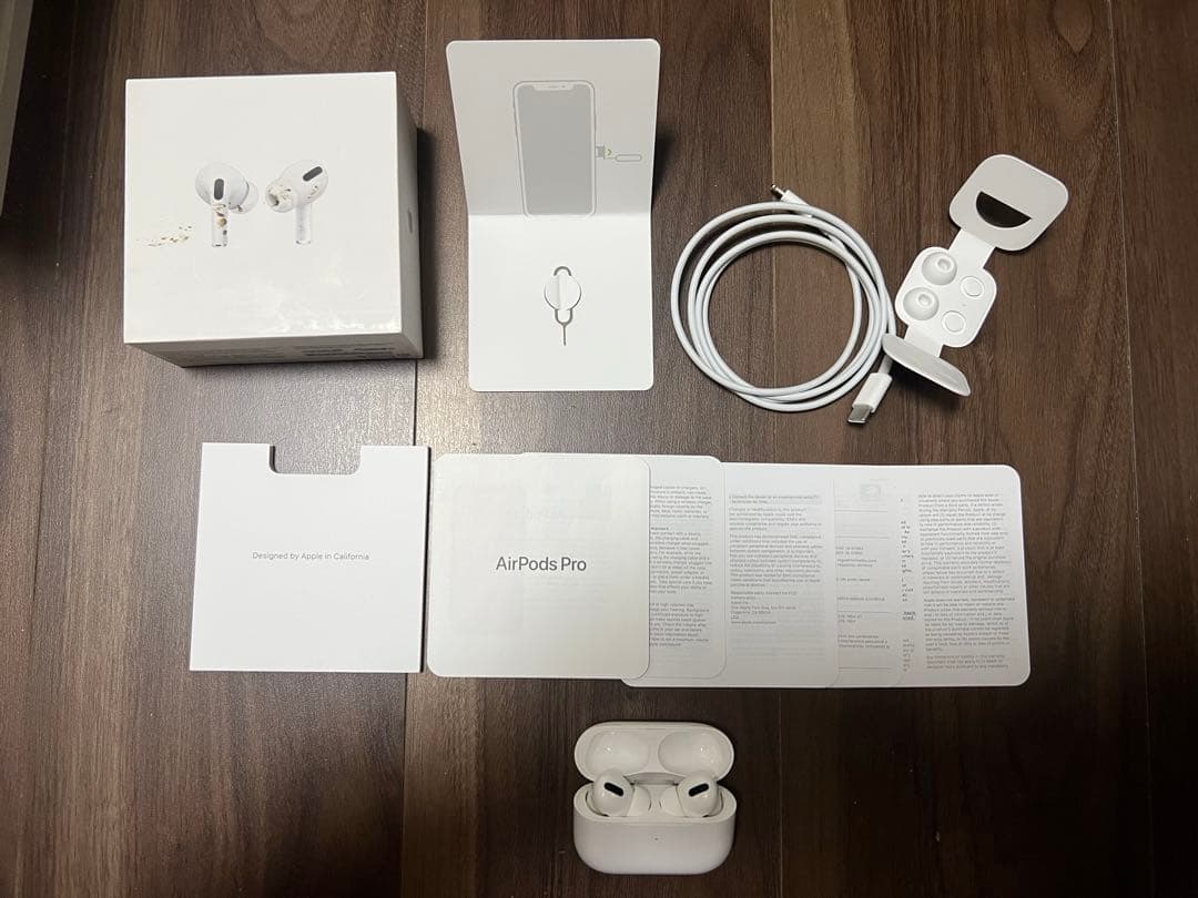 Apple AirPods Pro 本体