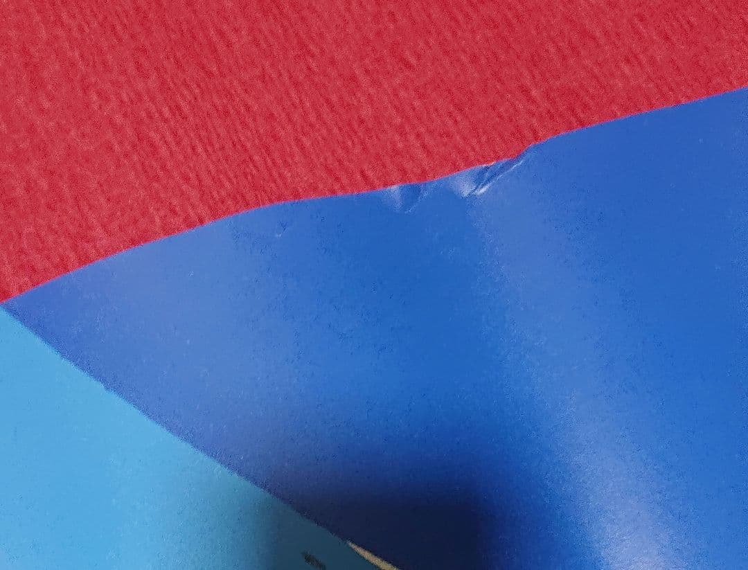 ジョジョの奇妙な冒険 ジョジョ展 ポスター 空条承太郎 イギー 富士山 B1