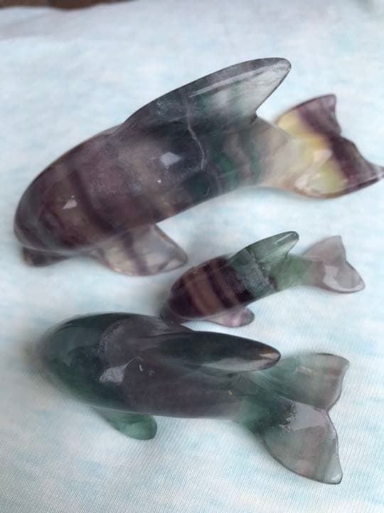 フローライト イルカ☆
