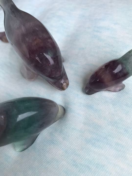 フローライト イルカ☆