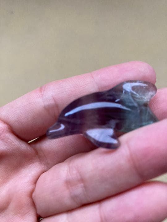 フローライト イルカ☆