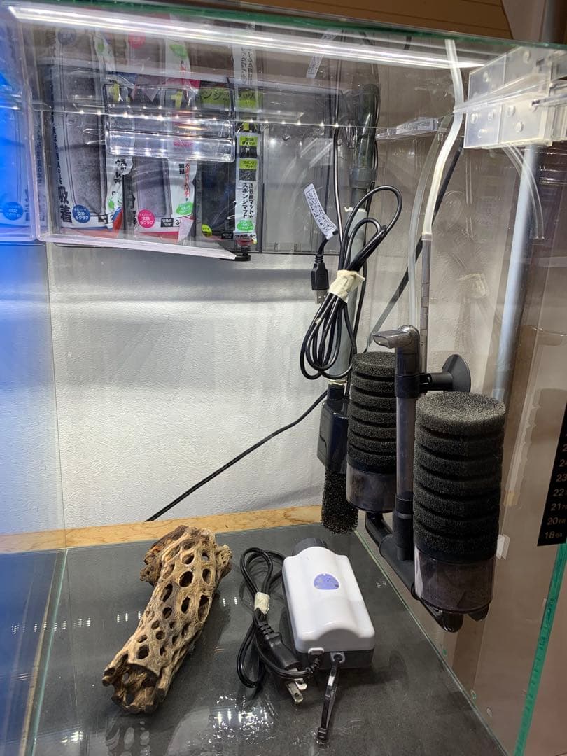 【引き取り限定】ガラス水槽フルセット　アクアリウム　最強シュリンプ水槽