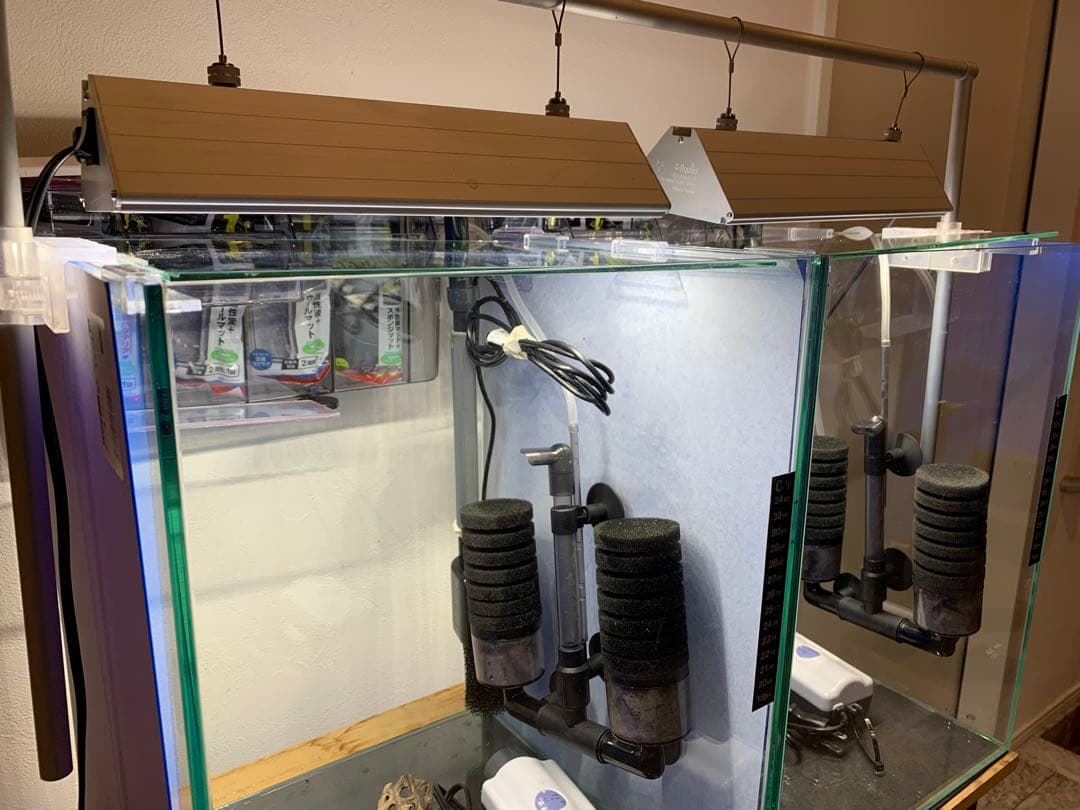 【引き取り限定】ガラス水槽フルセット　アクアリウム　最強シュリンプ水槽