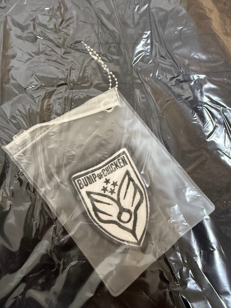 バンプオブチキン　ジャケット　Silver Jubilee