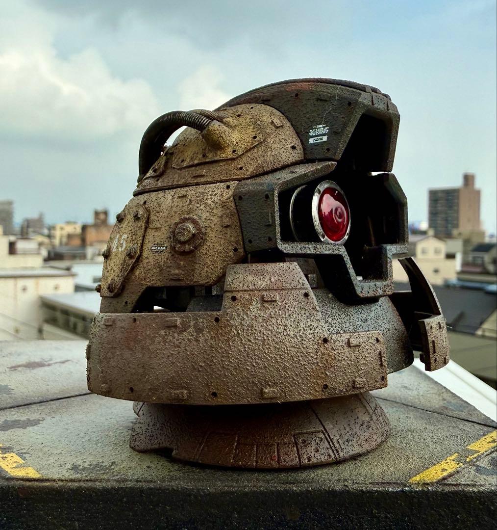 EXCEED MODEL ドムヘッド　サンドカラー　現地改修　塗装完成品