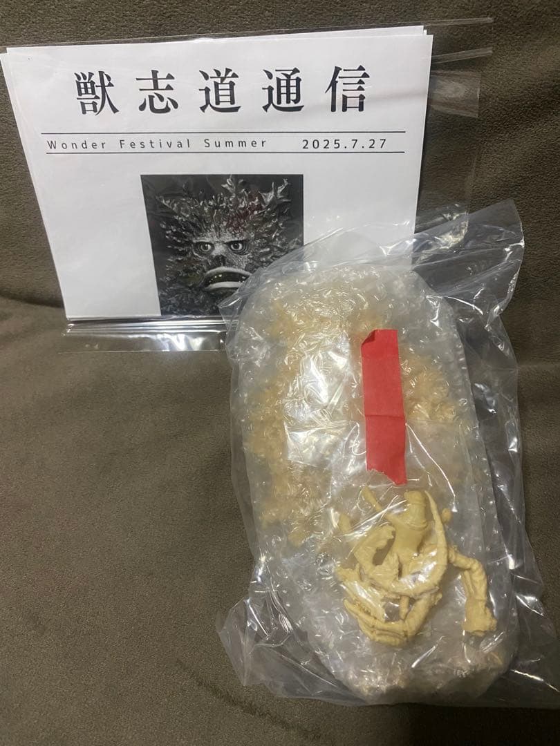 E*9様 ガラダマモンスター ワンフェス　2025 夏　ガラモン　獣志道　ガレキ