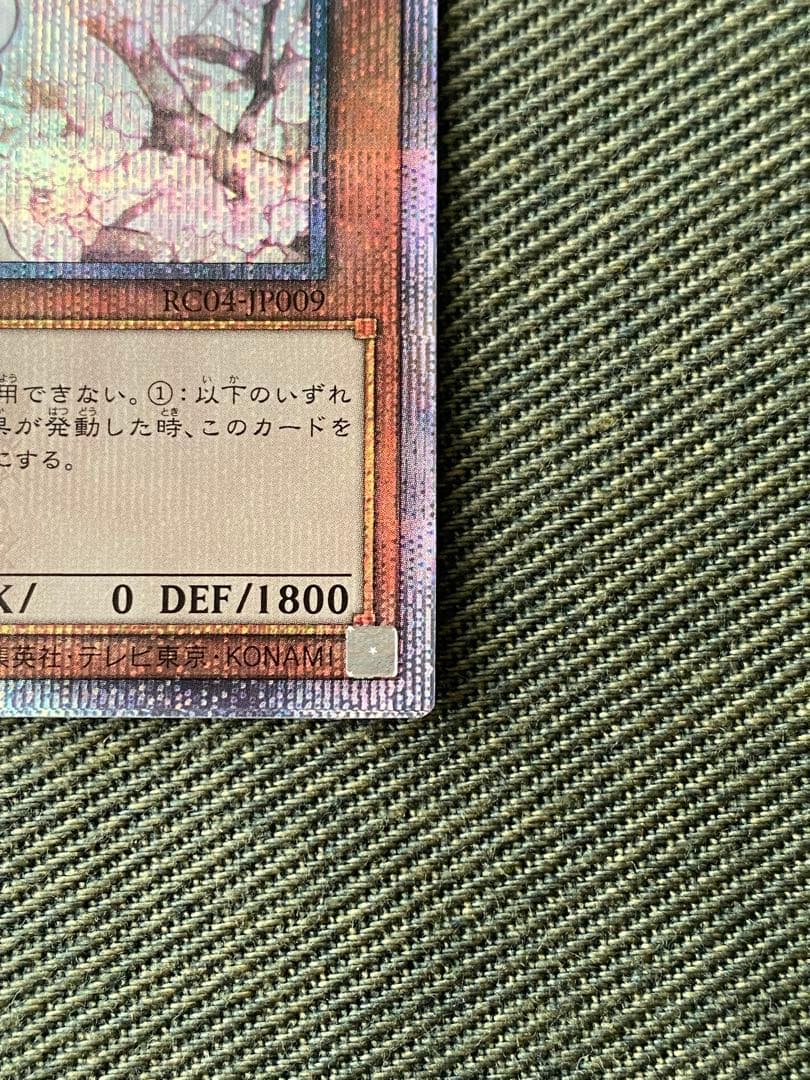 遊戯王　灰流うらら　クオシク　25th　通常イラスト