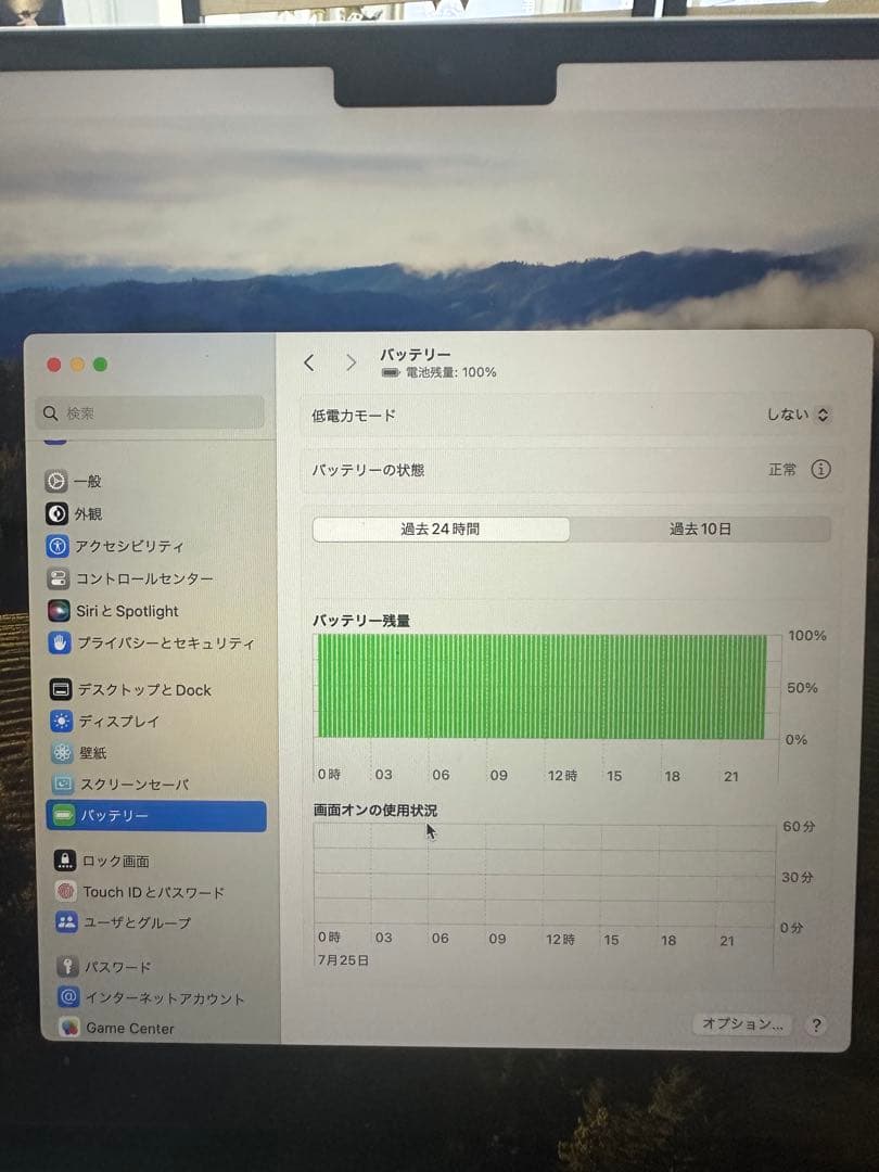 【充電回数17回】Apple MacBook Air m2 シルバー A2941