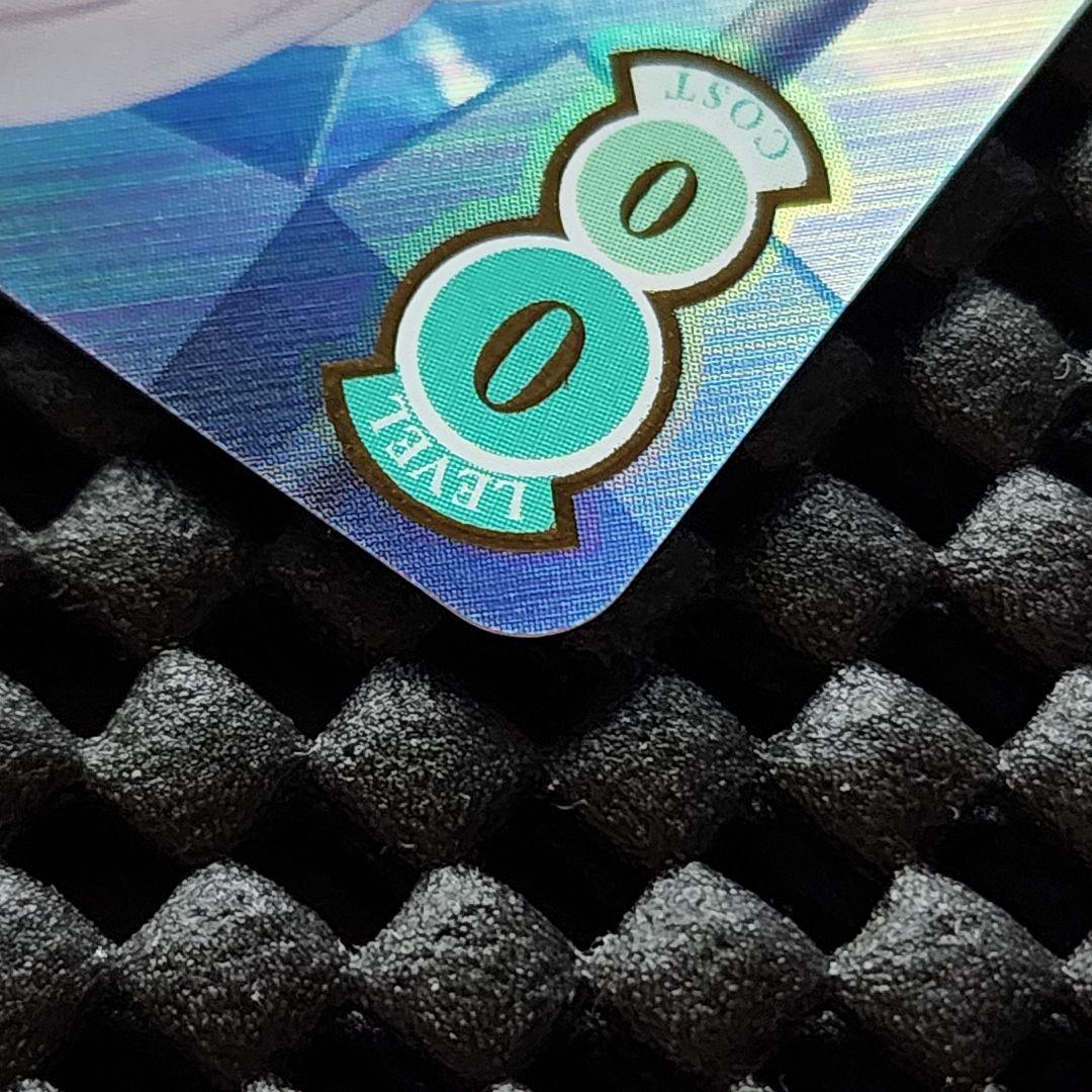 眩い柔肌 シャチ SSP サイン ヴァイスシュヴァルツロゼ harukaze