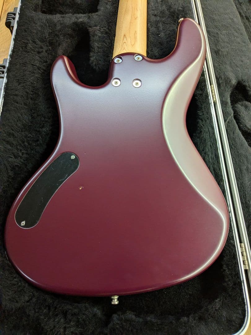 ベース FREEDOM CUSTOM GUITAR RESEARCH Anthra5st