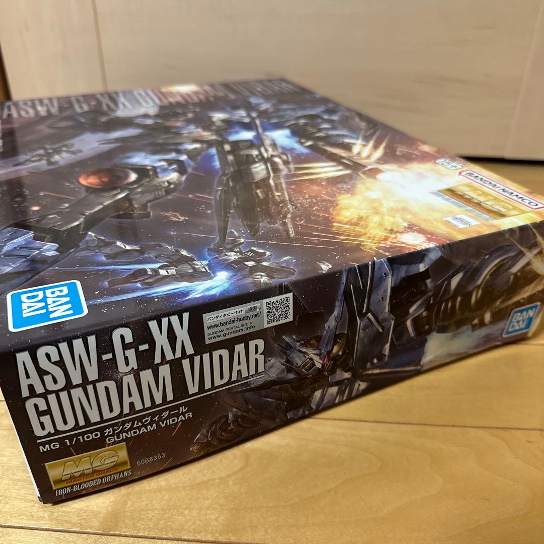 MG 1/100 ガンダムヴィダール