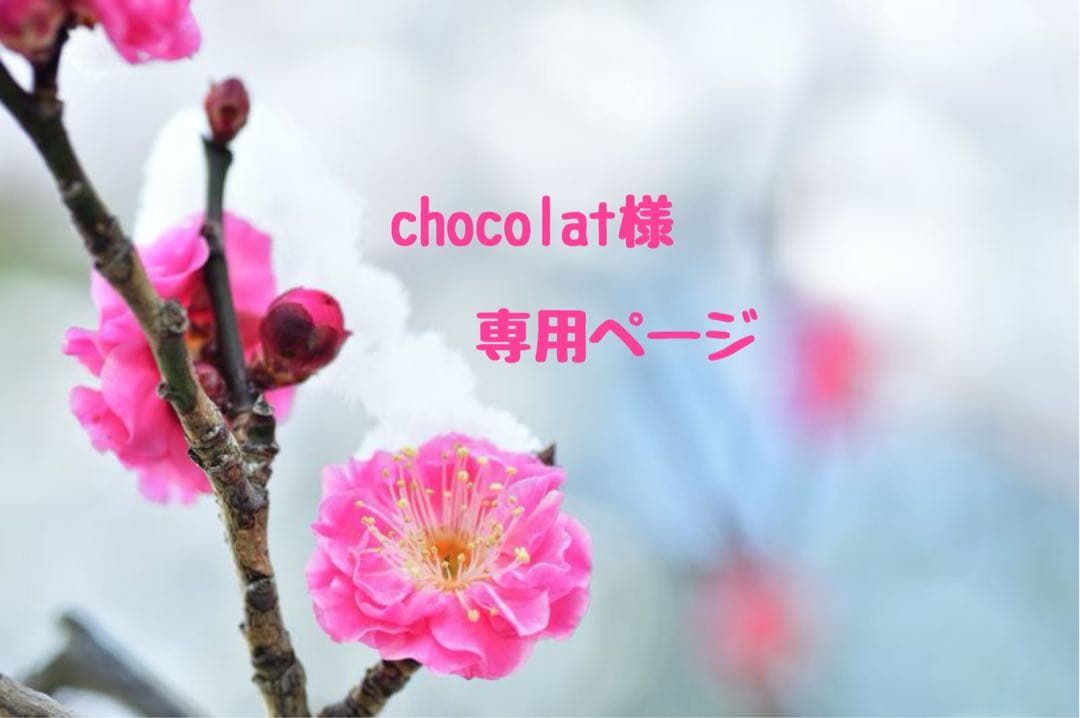 chocolat様 ♡ 専用ページ