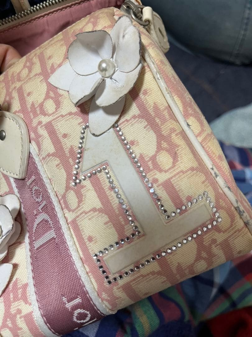 【あにまる】Christian Diorトロッター