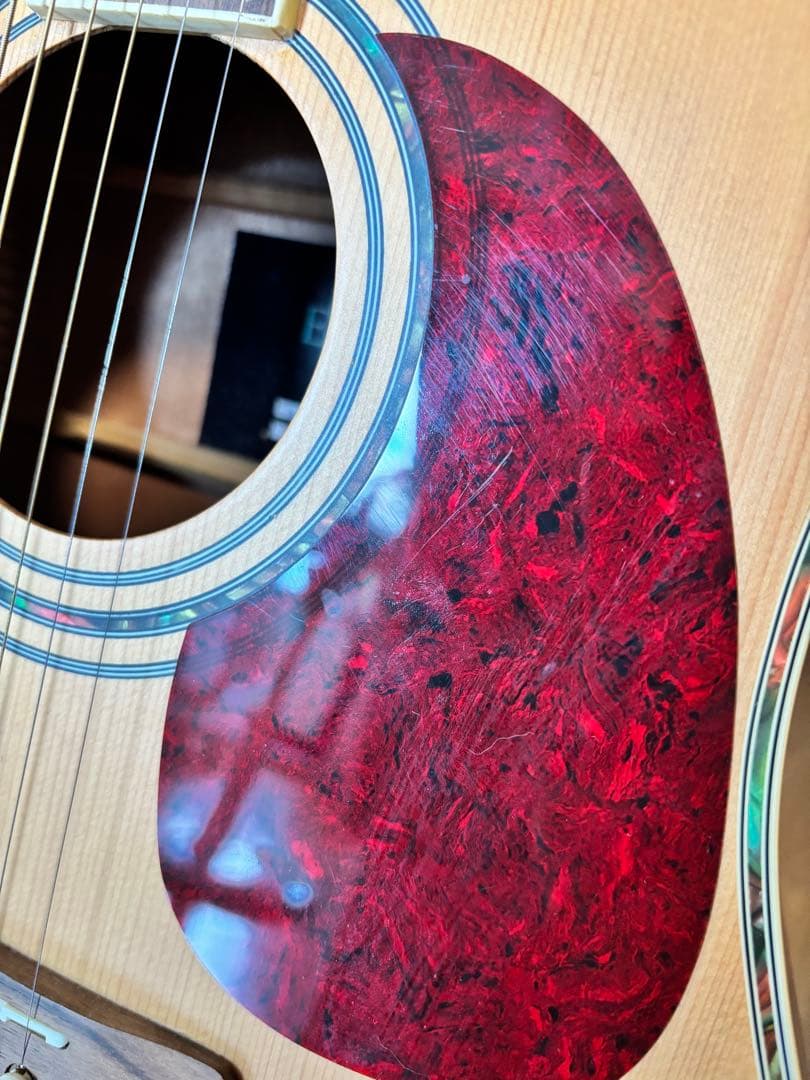 Elioth Revolution アコースティックギター セット