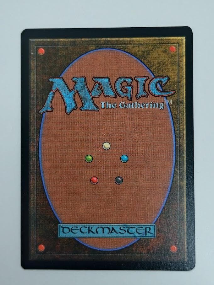 MTG アニマ 悲嘆 Foil 日 ボーダーレス Secret Lair