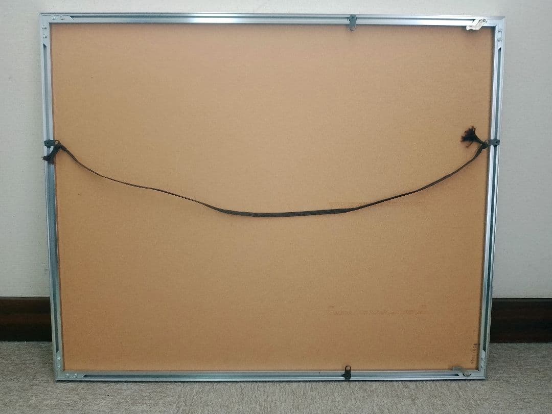 FUJIFILM ワイドマットフレームA2010 5枚セット