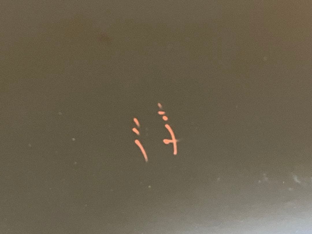 箱瀬淳一　輪島塗　丸盆