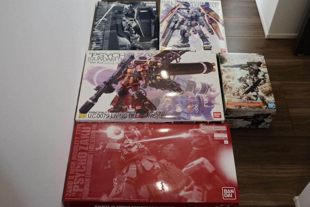 MG　ガンダムサンダーボルトセット