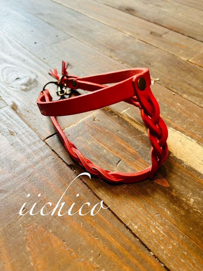 リード＆ハーネス2点セット‼️ RED＆ヌメ