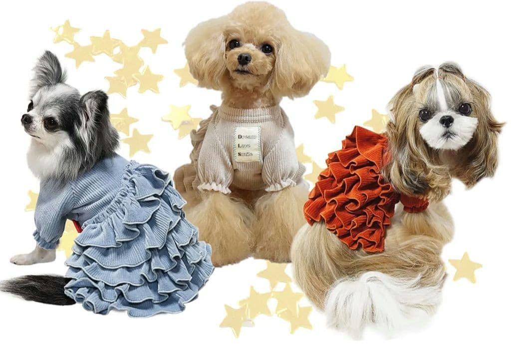 CORDUROY FRILLEDワンピ　サーカスサーカスcircuscircus