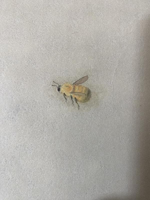 【日本画】美術品｜杉本使聖｜出雲大神宮｜子宝恵｜運気良