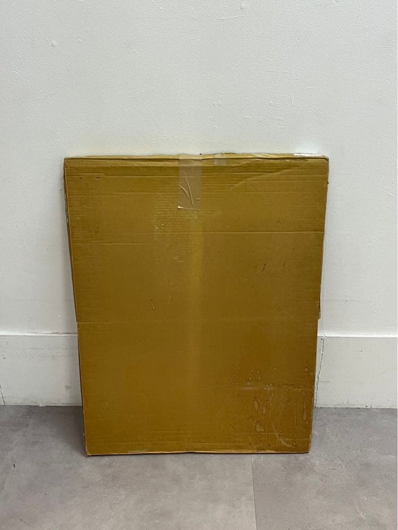 金子國義 リトグラフ 47/50 額装済 現代アート