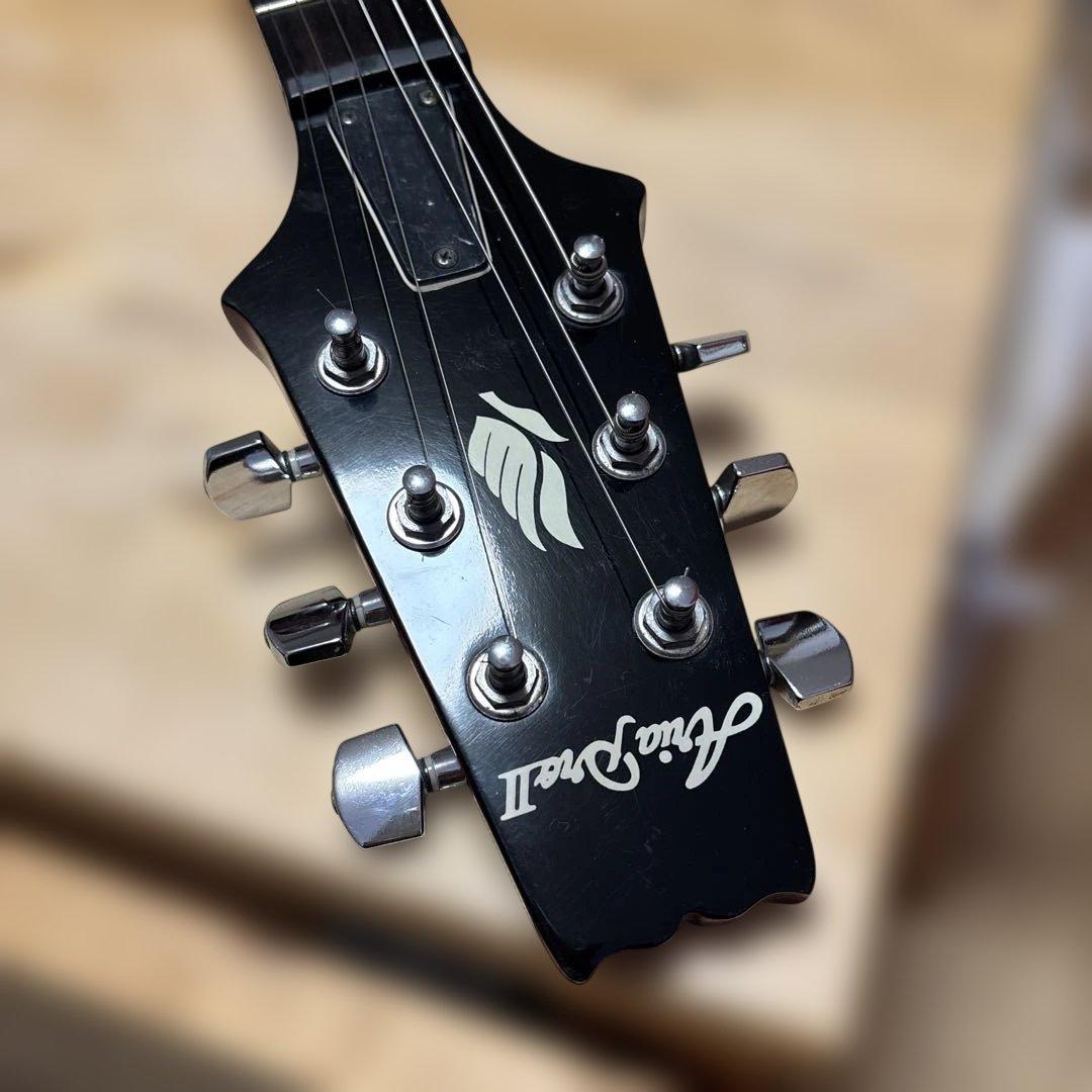 Aria pro2 PE40 (飽きのこないシンプルなデザイン)極美品